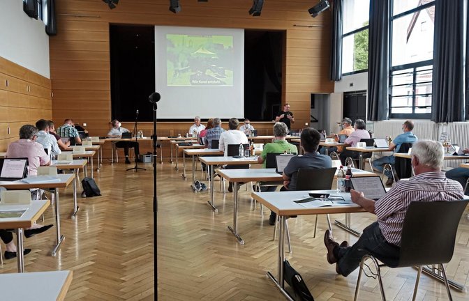 Frieder Weigand (vorne rechts) stellt dem Gemeinderat in der Eberdinger Gemeindehalle das Konzept des Bildhauersymposiums vor.  Foto: Rücker