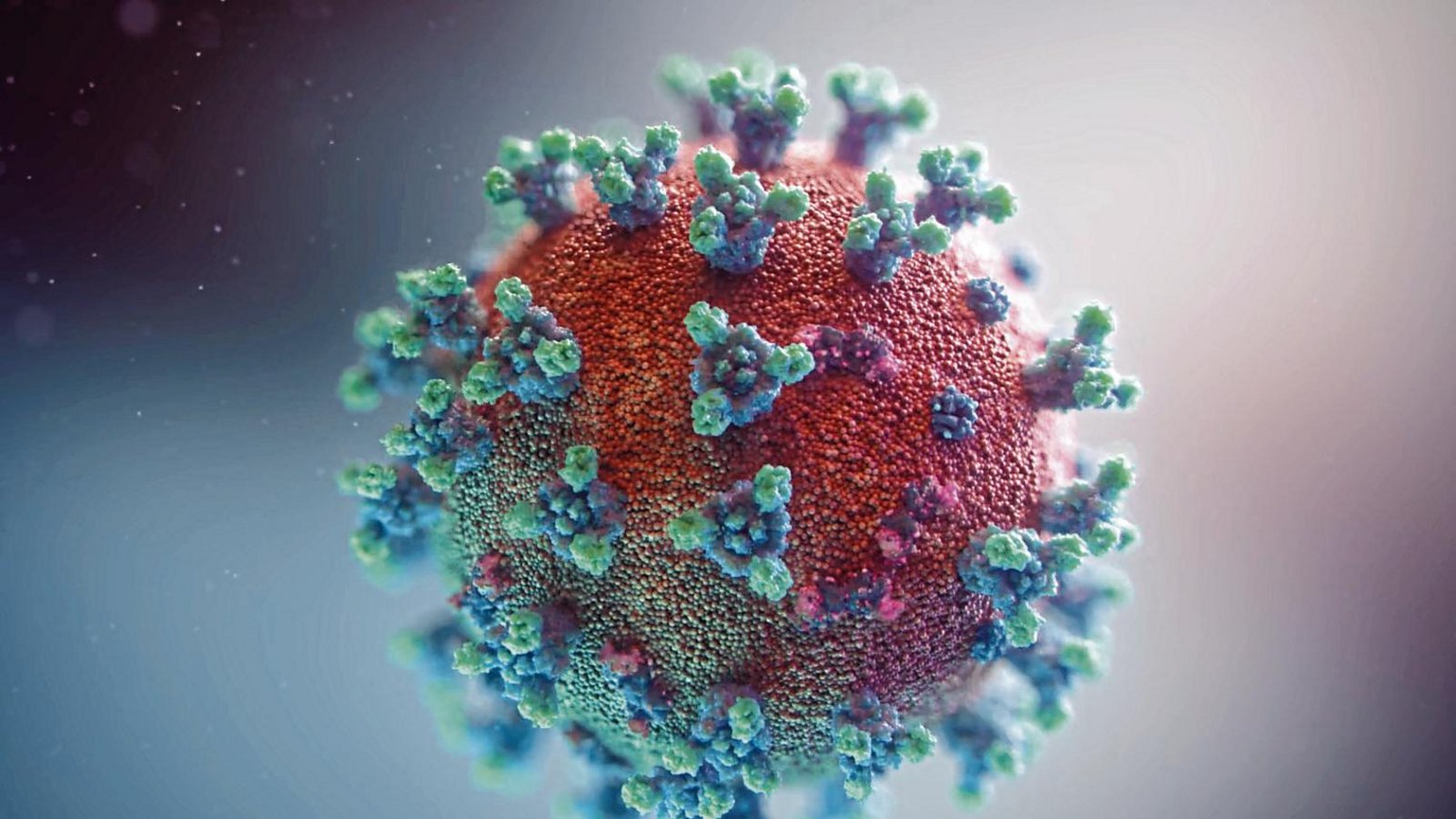 Das Coronavirus – hier eine Computergrafik – stellt die Welt aktuell auf den Kopf. Die Verbände wollen dennoch ihren Vereinen ermöglichen, weiter ihren Sport auszuüben. Foto: ddp Das Coronavirus – hier eine Computergrafik – stellt die Welt aktuell auf den Kopf. Die Verbände wollen dennoch ihren Vereinen ermöglichen, weiter ihren Sport auszuüben. Foto: ddp