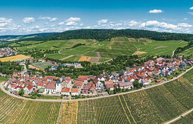 Welches Gesicht soll das Gebiet „Auf dem Berg“ in Zukunft haben? Darüber wird derzeit in den Gremien diskutiert.  Foto: Pangerl