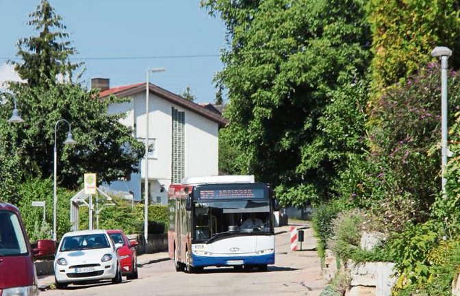 Rund 80 Busse am Tag tragen zum schlechten Zustand der Straße bei.