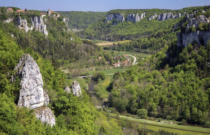 Der Ausblick vom Eichfelsen ins Obere Donautal ist einzigartig.<span class='image-autor'>Foto: Tourismusverband/Thomas Bichler</span>