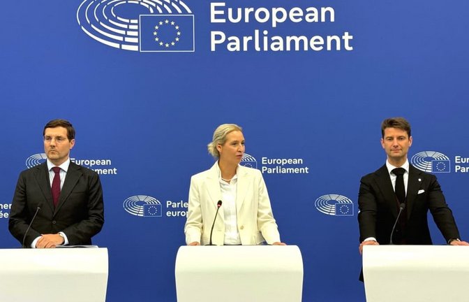 Alice Weidel (M,), Co-Bundesvorsitzende der AfD, und die AfD-Europa-Abgeordneten René Aust (r) und Alexander Sell während einer Pressekonferenz. Weidel hat in Straßburg für eine weitreichende Reform der Europäischen Union gefordert (Archivfoto).<span class='image-autor'>Ann-Krisitn Wenzel/dpa</span>