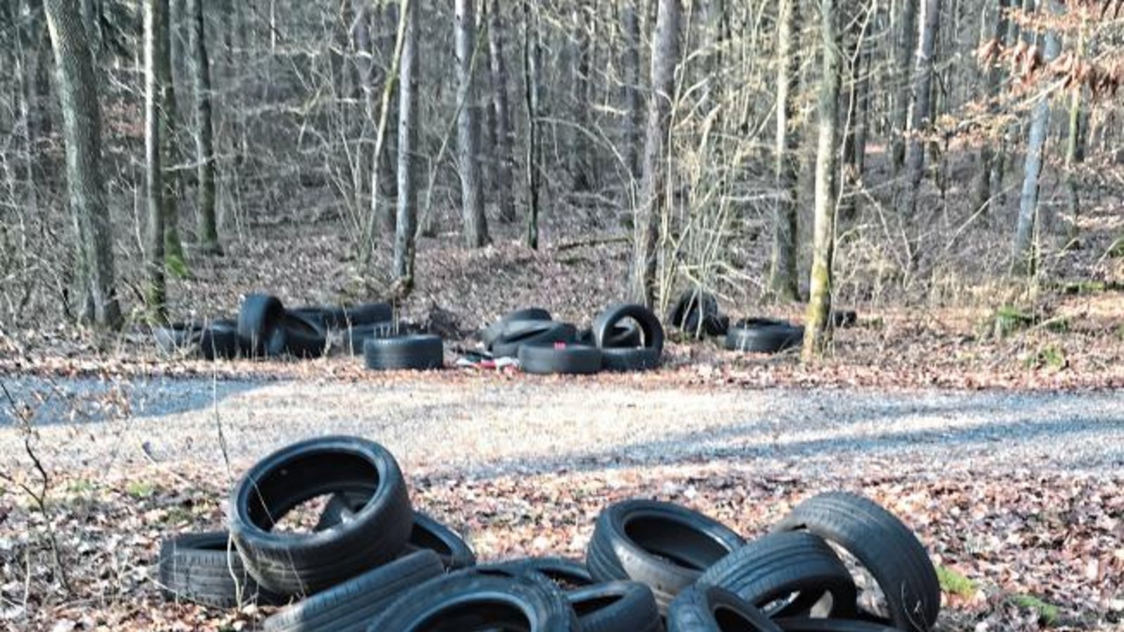 VKZ-Leser, die als Spaziergänger in einem Waldstück zwischen Sersheim und Sachsenheim unterwegs waren, haben uns dieses Foto geschickt, das einen dreisten Fall von Reifenentsorgung im großen Stil belegt. Die Polizei ermittelt.