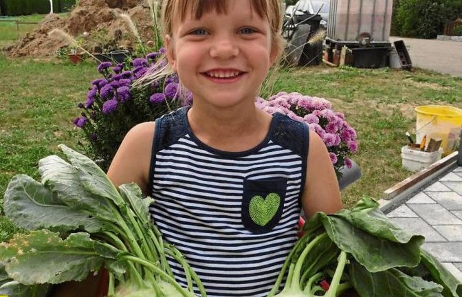 Larissa Blessing aus Enzweihingen mit 2441 und 1821 Gramm schweren Kohlrabis, die im Garten von Uropa Gotthold Häcker in Hochdorf geerntet wurden.  Foto: p