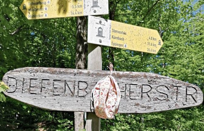 Die Maskenpflicht ist allgegenwärtig. Selbst auf dem Wanderweg im Wald bei Diefenbach gibt es kein Entrinnen.  Foto: Banholzer