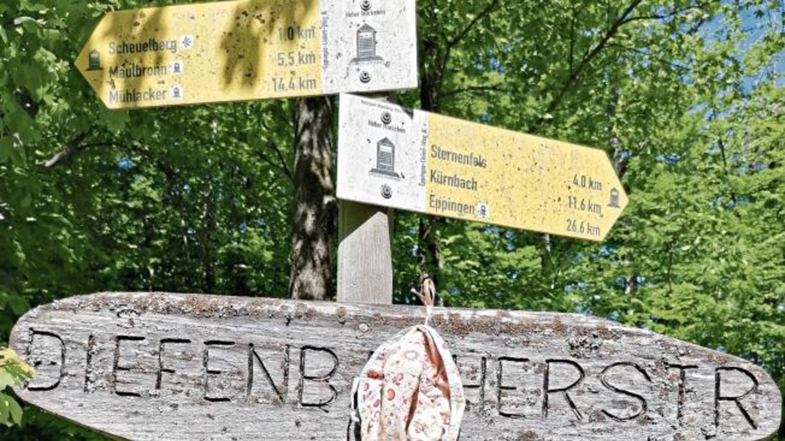 Die Maskenpflicht ist allgegenwärtig. Selbst auf dem Wanderweg im Wald bei Diefenbach gibt es kein Entrinnen.  Foto: Banholzer