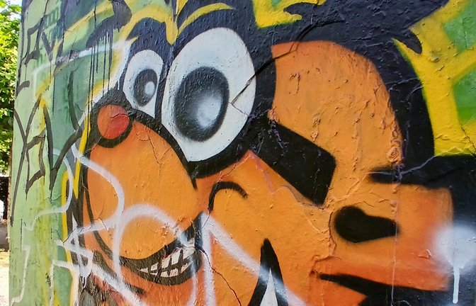 Die Pelotawand wurde zur Gartenschau aufgestellt.