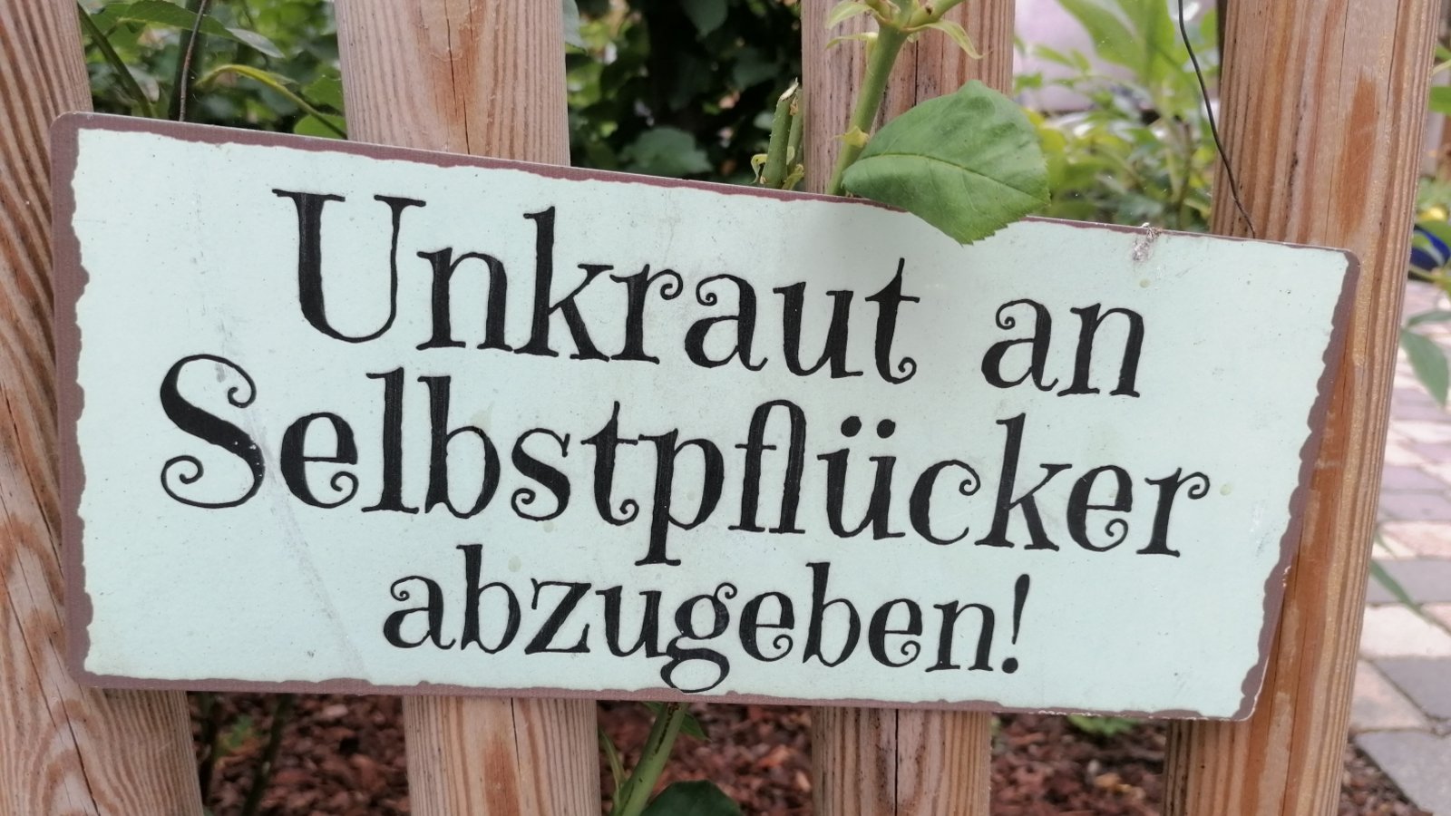 Dieses spezielle Angebot wurde in Großglattbach entdeckt.  Foto: Banholzer