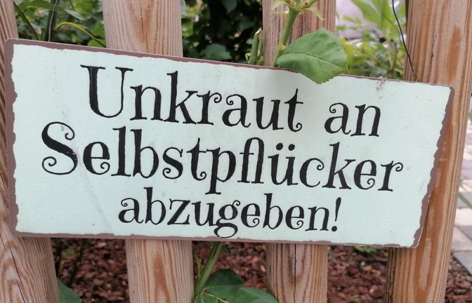 Dieses spezielle Angebot wurde in Großglattbach entdeckt.  <span class='image-autor'>Foto: Banholzer</span>