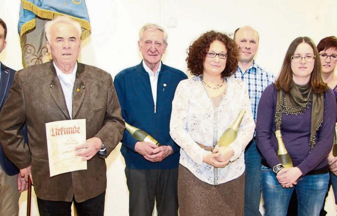 Der Vulkania-Vorsitzende Axel Hohn mit den Geehrten Gerhard Vosseler, Gebhard Renn, Tanja und Jürgen Klein, Anja von Wildemann, Jolanda Klett und Cindy Kammerer (von links).  Foto: Gergen