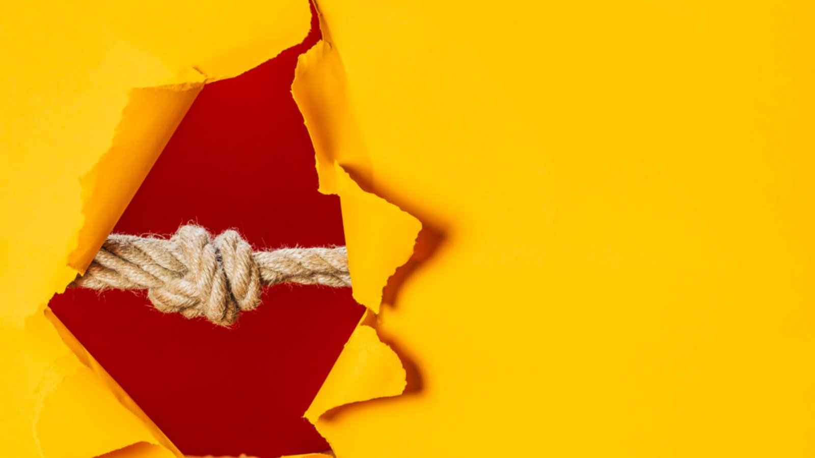 Hier erfahren Sie 4 hilfreiche Tipps & Tricks, wie man festsitzende Knoten einfach lösen kann.Foto: Olya Humeniuk / Shutterstock.com Hier erfahren Sie 4 hilfreiche Tipps & Tricks, wie man festsitzende Knoten einfach lösen kann.Foto: Olya Humeniuk / Shutterstock.com