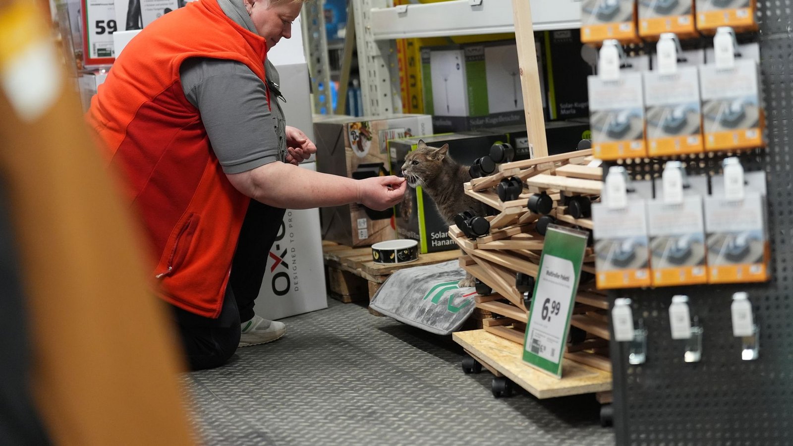Jennifer Scheel, Mitarbeiterin im Baumarkt, wird von ihren Kollegen auch "Katzenmutti" genannt.Foto: Marcus Brandt/dpa
