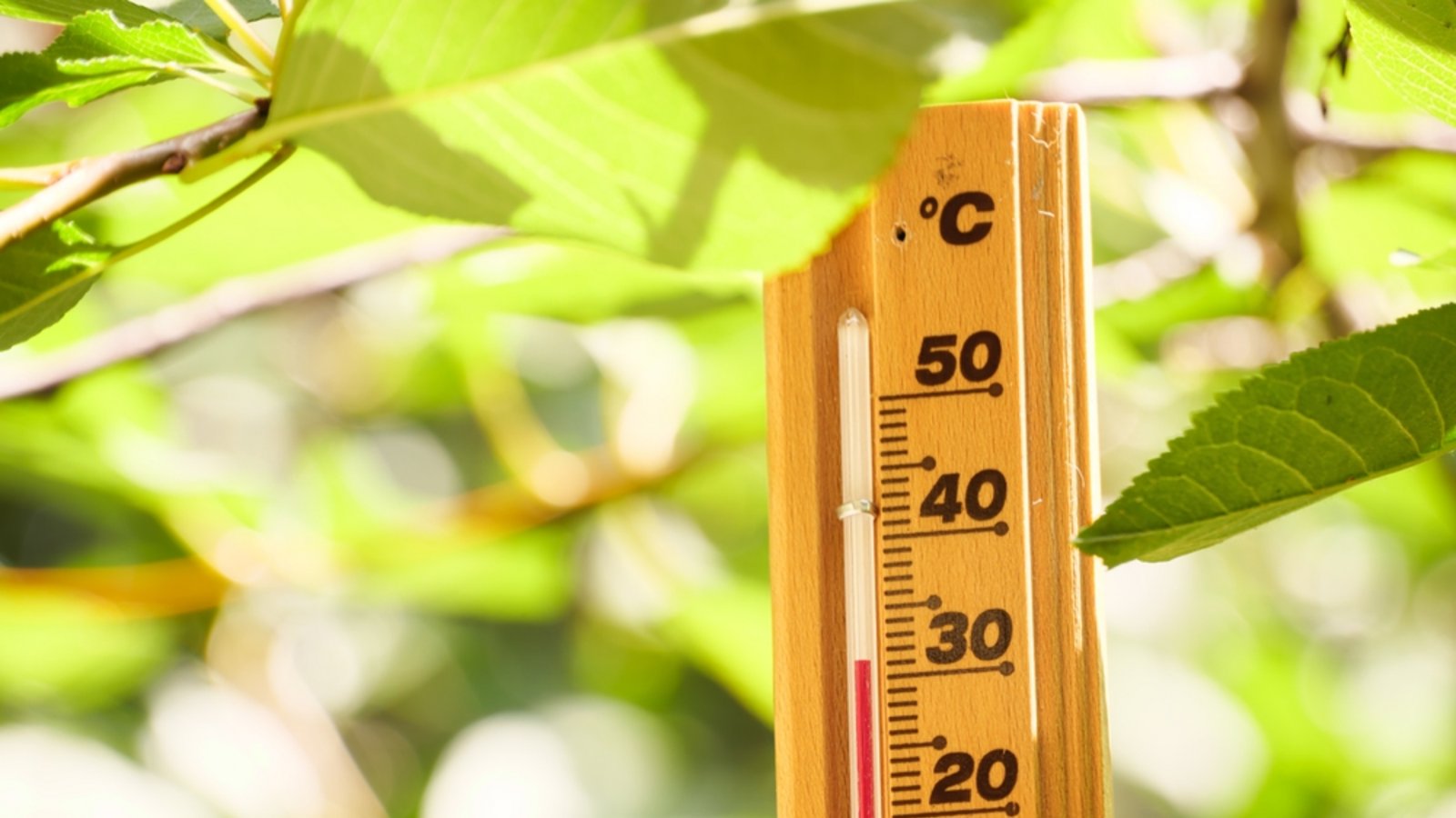 Bekommen wir diesen Sommer nochmal 30 °C?Foto: Sarkadi Roland / shutterstock.com