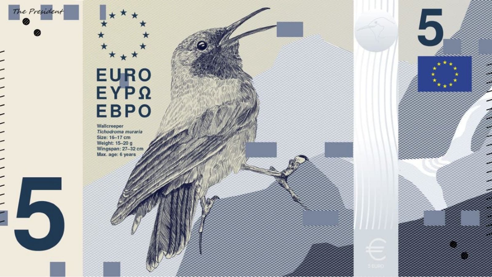 Gestaltungsentwurf zur 5-Euro-Note, Designvorschlag B, der österreichischen Agentur PunktFormStrich.EZB Gestaltungsentwurf zur 5-Euro-Note, Designvorschlag B, der österreichischen Agentur PunktFormStrich.EZB