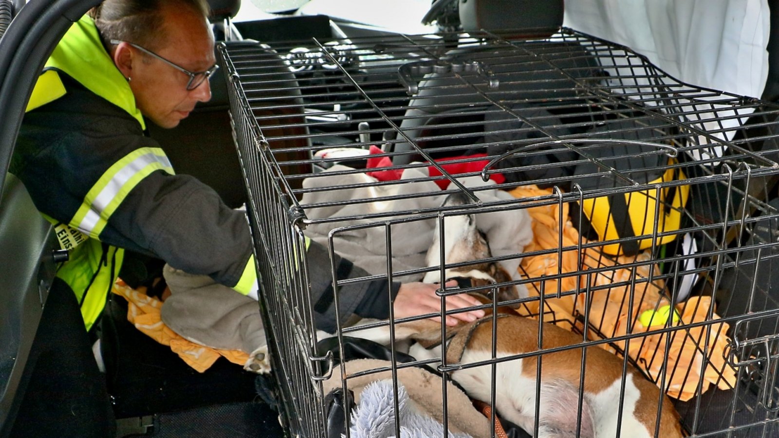 Kümmert sich um den verletzten Hund: Thomas Korz. Foto: KS-Images.de/Andreas Rometsch Kümmert sich um den verletzten Hund: Thomas Korz. Foto: KS-Images.de/Andreas Rometsch