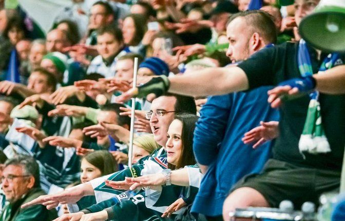 Feuern die Fans der Bietigheim Steelers ihre Mannschaft schon in der nächsten Saison in der höchsten deutschen Eishockey-Liga, der DEL, an? Nicht, wenn der sportliche Aufstieg nicht eingeführt wird, sagt Steelers-Geschäftsführer Volker Schoch. Foto: Simecek