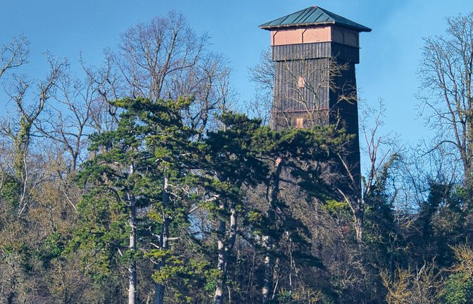 „Der laublose Wald lässt die Eselsburg weithin sichtbar werden“, schreibt VKZ-Leser Werner Frey über seinen Schnappschuss.