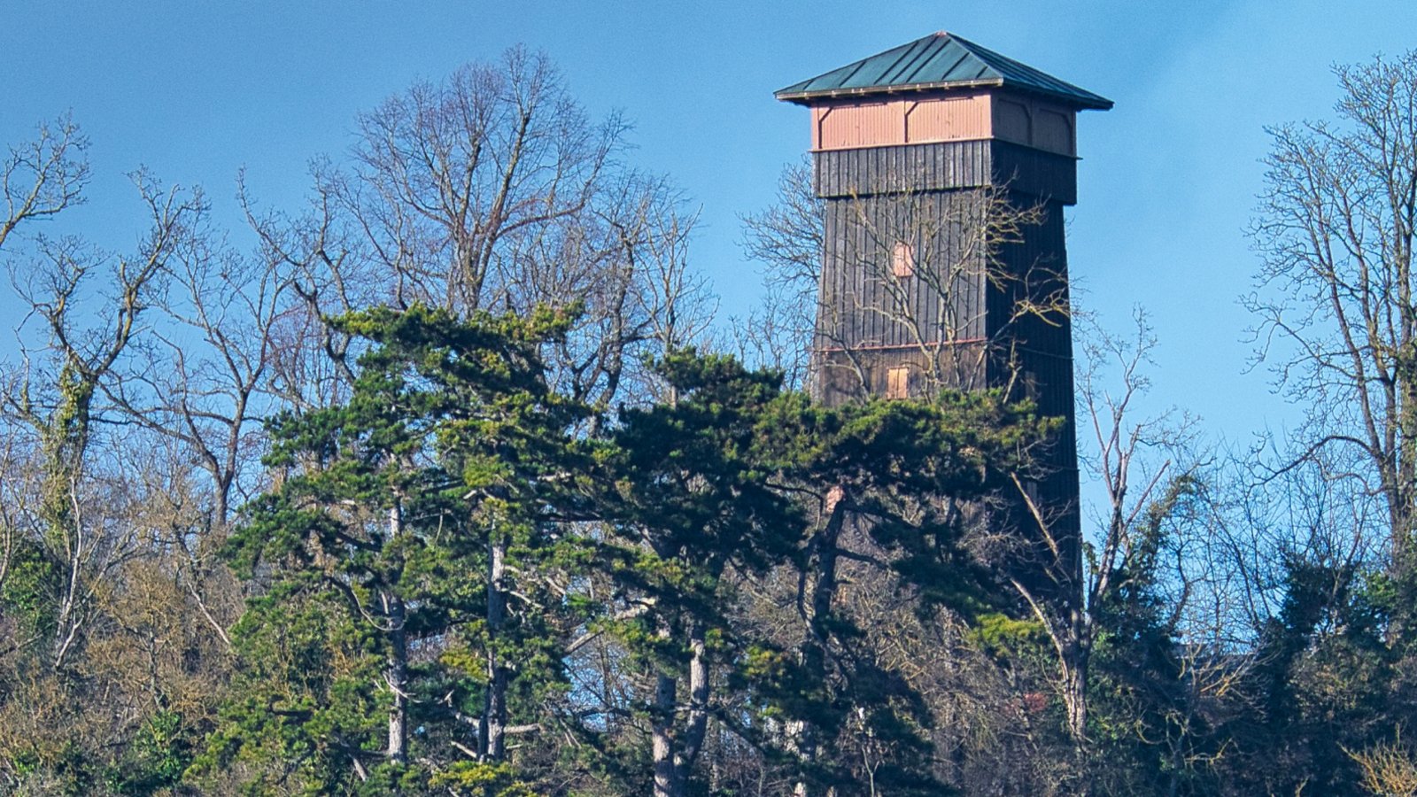 „Der laublose Wald lässt die Eselsburg weithin sichtbar werden“, schreibt VKZ-Leser Werner Frey über seinen Schnappschuss. „Der laublose Wald lässt die Eselsburg weithin sichtbar werden“, schreibt VKZ-Leser Werner Frey über seinen Schnappschuss.