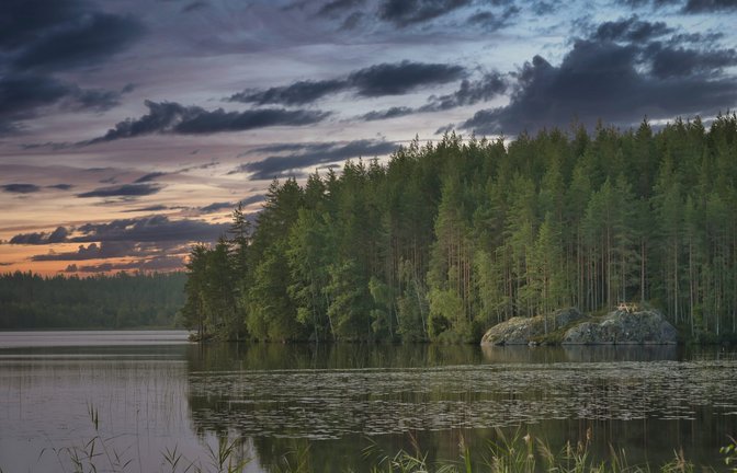 Einige Diterpene im Harz heutiger Nadelbäume entstanden bereits vor 300 Millionen Jahren, lange bevor es Kiefern, Fichten oder Tannen in ihrer heutigen Form gab.<span class='image-autor'>Foto: Imago/Chromorange</span>