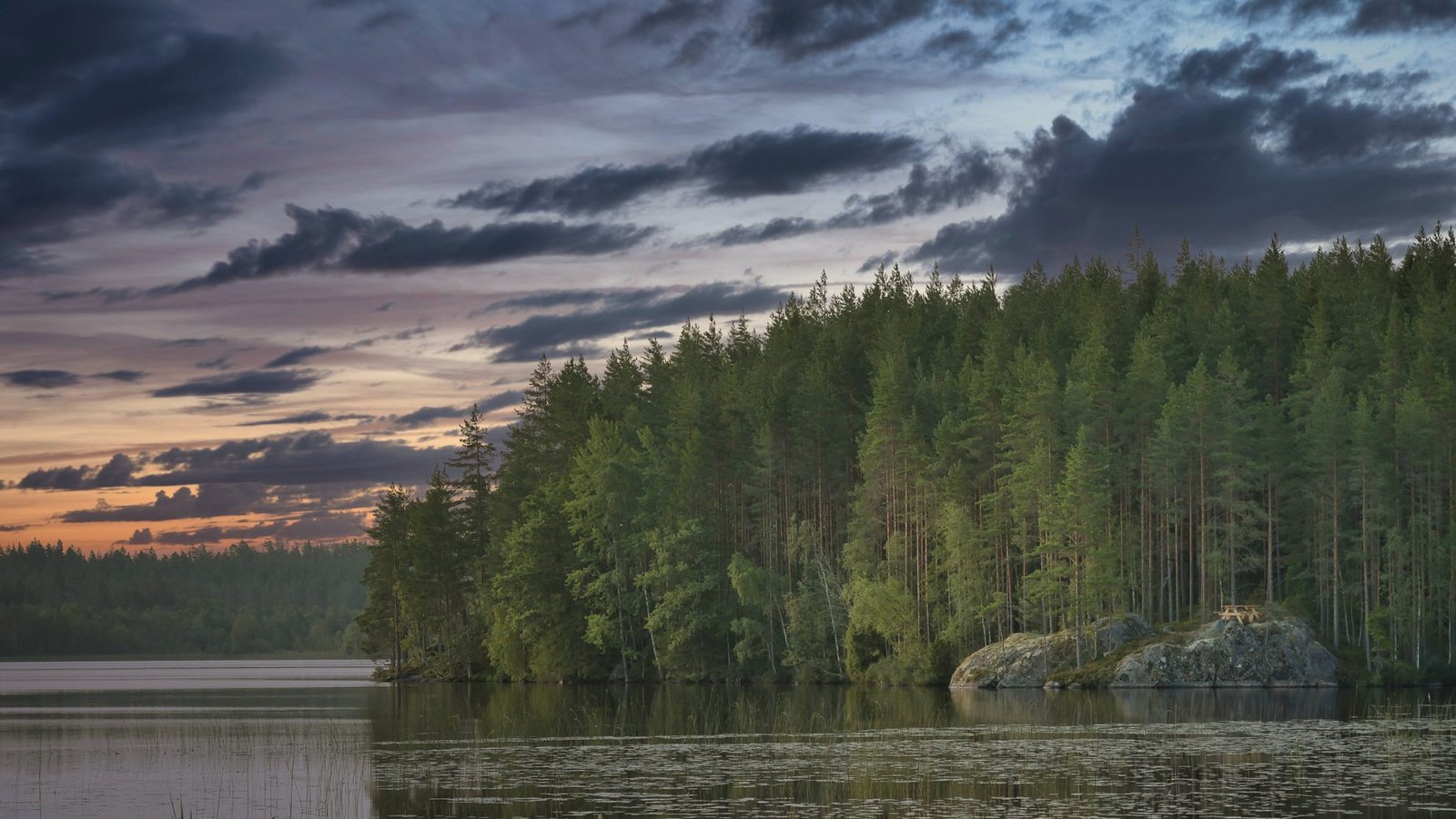 Einige Diterpene im Harz heutiger Nadelbäume entstanden bereits vor 300 Millionen Jahren, lange bevor es Kiefern, Fichten oder Tannen in ihrer heutigen Form gab.Foto: Imago/Chromorange Einige Diterpene im Harz heutiger Nadelbäume entstanden bereits vor 300 Millionen Jahren, lange bevor es Kiefern, Fichten oder Tannen in ihrer heutigen Form gab.Foto: Imago/Chromorange