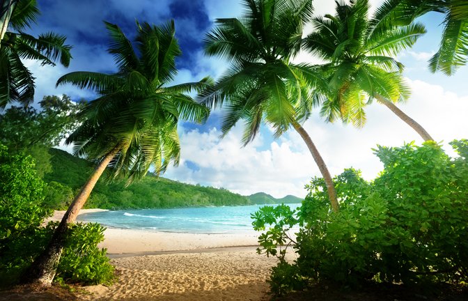 Ganz so paradiesisch ist es für die Teilnehmer von 7 vs. Wild nicht.<span class='image-autor'>Foto: Iakov Kalinin / shutterstock.com</span>