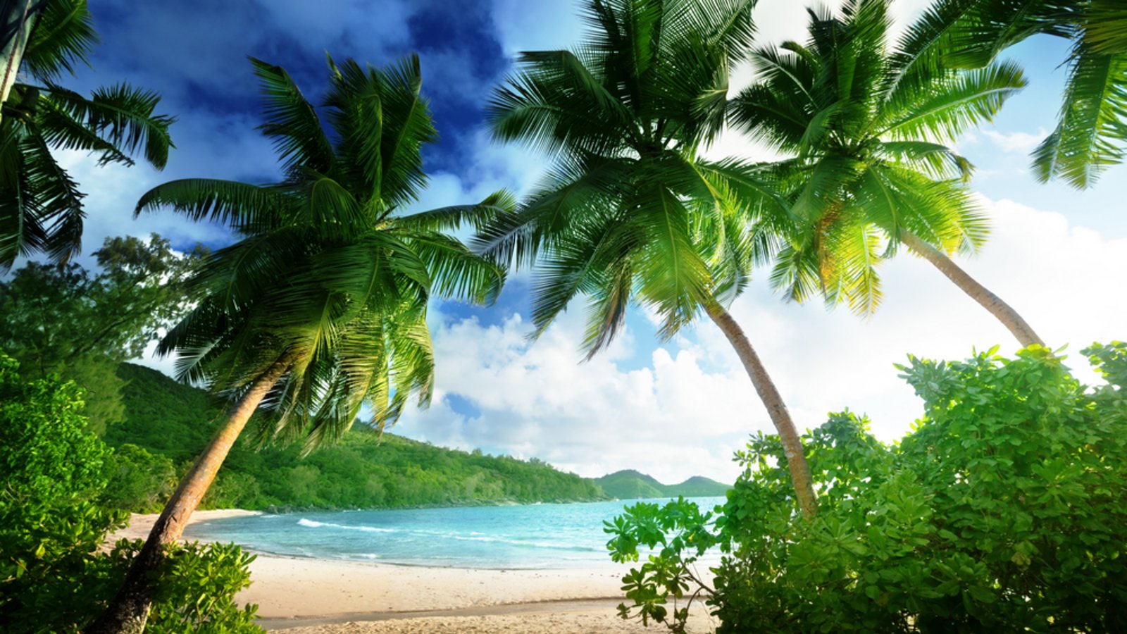 Ganz so paradiesisch ist es für die Teilnehmer von 7 vs. Wild nicht.Foto: Iakov Kalinin / shutterstock.com