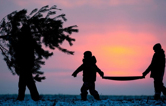 Gehört bald auch das traditionelle Schmücken des Weihnachtsbaums zu den vergessenen Ritualen?<span class='image-autor'>Foto: dpa</span>