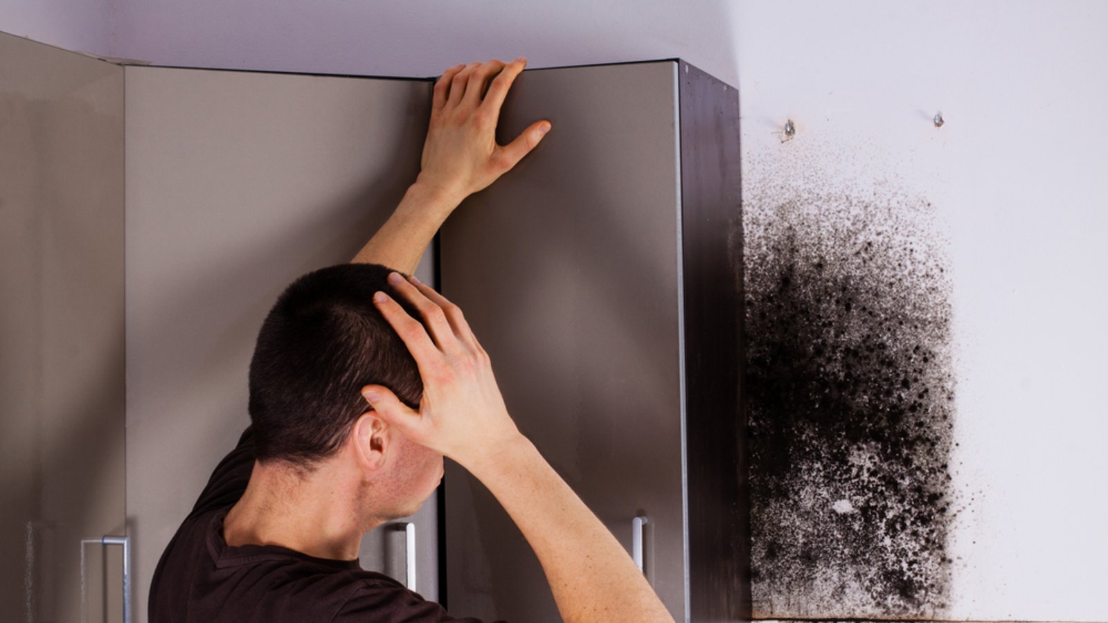 Oftmals sieht man den Schimmel auf den ersten Blick gar nicht.Foto: Cegli / shutterstock.com Oftmals sieht man den Schimmel auf den ersten Blick gar nicht.Foto: Cegli / shutterstock.com