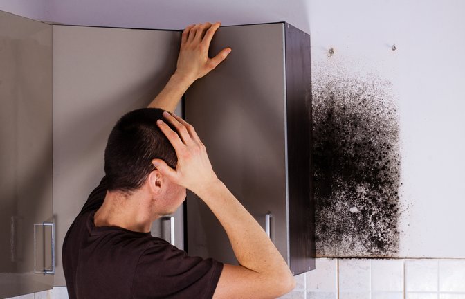 Oftmals sieht man den Schimmel auf den ersten Blick gar nicht.<span class='image-autor'>Foto: Cegli / shutterstock.com</span>
