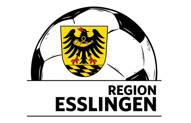 Seit Kurzem gibt es den Kanal "Fußball Region Esslingen" auf Whatsapp.<span class='image-autor'>oh</span>