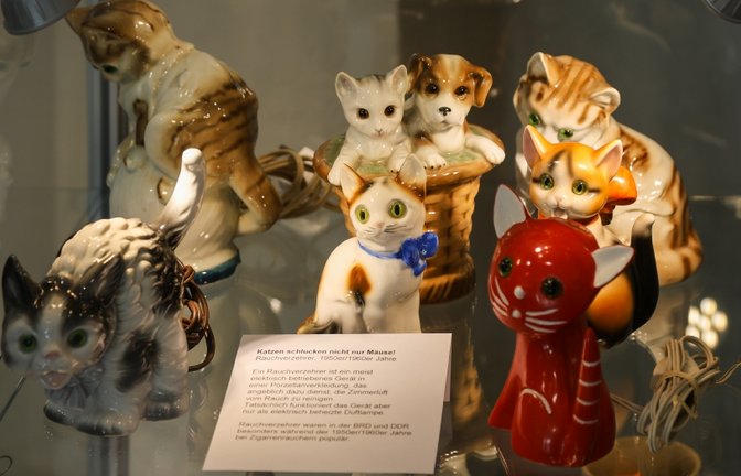 Sachsenheim, Katzenausstellung, Museum Sachsenheim Foto: Bürkle 