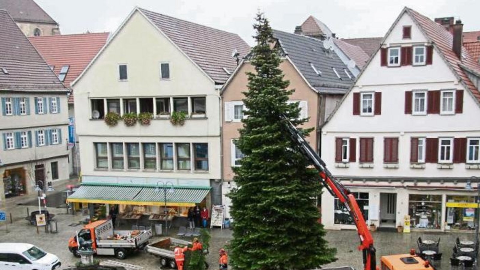 Eine Colorado-Tanne, gespendet von Familie Leitz aus der Hillerstraße in Vaihingen, ziert seit gestern als Weihnachtsbaum den Vaihinger Marktplatz. Foto: Rücker Eine Colorado-Tanne, gespendet von Familie Leitz aus der Hillerstraße in Vaihingen, ziert seit gestern als Weihnachtsbaum den Vaihinger Marktplatz. Foto: Rücker
