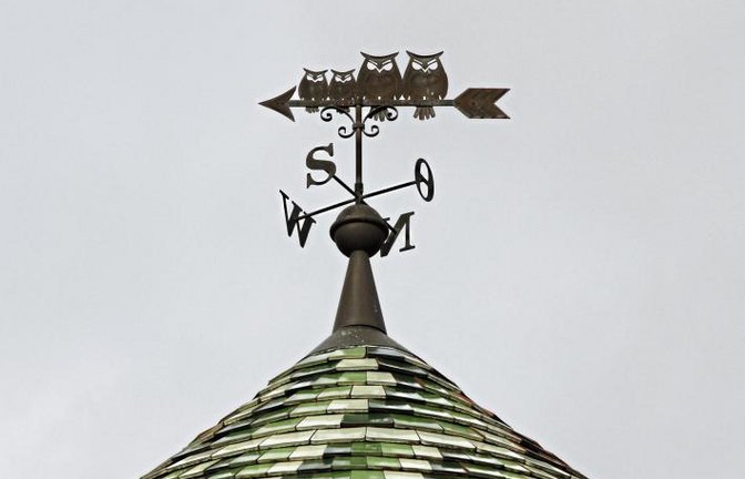 Was die Eulenfamilie von ihrer Wetterfahne in der Vaihinger Heiligkreuzstraße aus wohl so alles zu sehen bekommt?  Foto: Banholzer