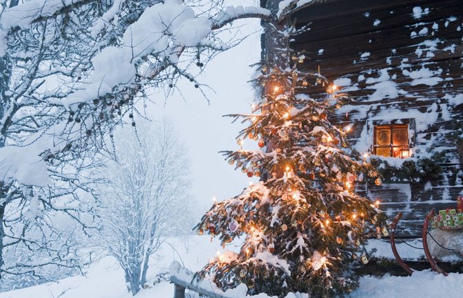 Egal ob in oder vor dem Haus – der Weihnachtsbaum gehört einfach dazu.<span class='image-autor'>Foto: imago/Westend61/imago stock&people</span>