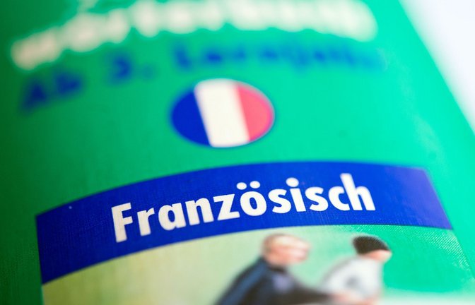 Französisch ist in den EU-Institutionen auf dem Rückzug. Das will Frankreich nicht hinnehmen und geht nun dagegen an – auch vor Gericht.<span class='image-autor'>Foto: dpa/Daniel Naupold</span>