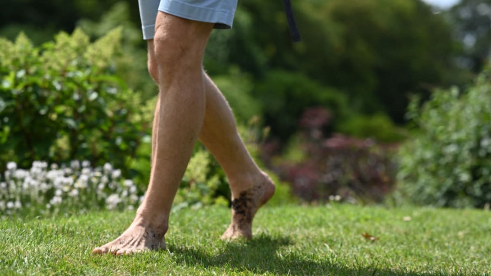 Besucher gehen im Barfußpark über Gras, wo die Milben darauf warten entsprechende Wirte zu finden.Lars Penning/dpa Besucher gehen im Barfußpark über Gras, wo die Milben darauf warten entsprechende Wirte zu finden.Lars Penning/dpa