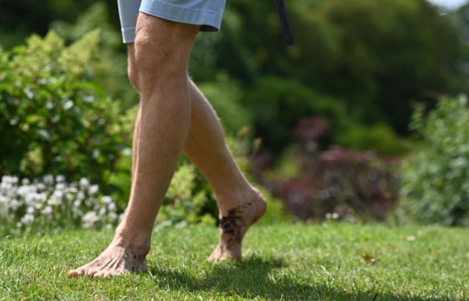 Besucher gehen im Barfußpark über Gras, wo die Milben darauf warten entsprechende Wirte zu finden.<span class='image-autor'>Lars Penning/dpa</span>