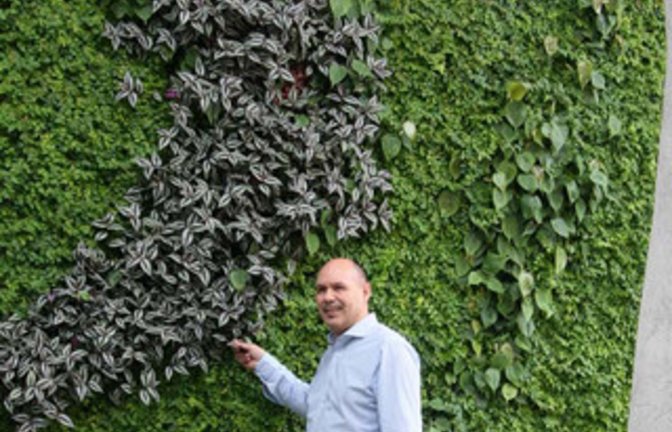 Ivo Lai an der Grünen Wand. Fotos: Rücker