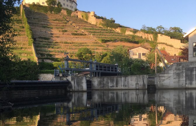 Diese stimmungsvolle Ansicht von Schloss Kaltenstein bot sich der Pilates-Gruppe des TSV Enzweihingen bei einer abendlichen Stocherkahnfahrt auf der Enz. Fotografiert von Petra Schneider.