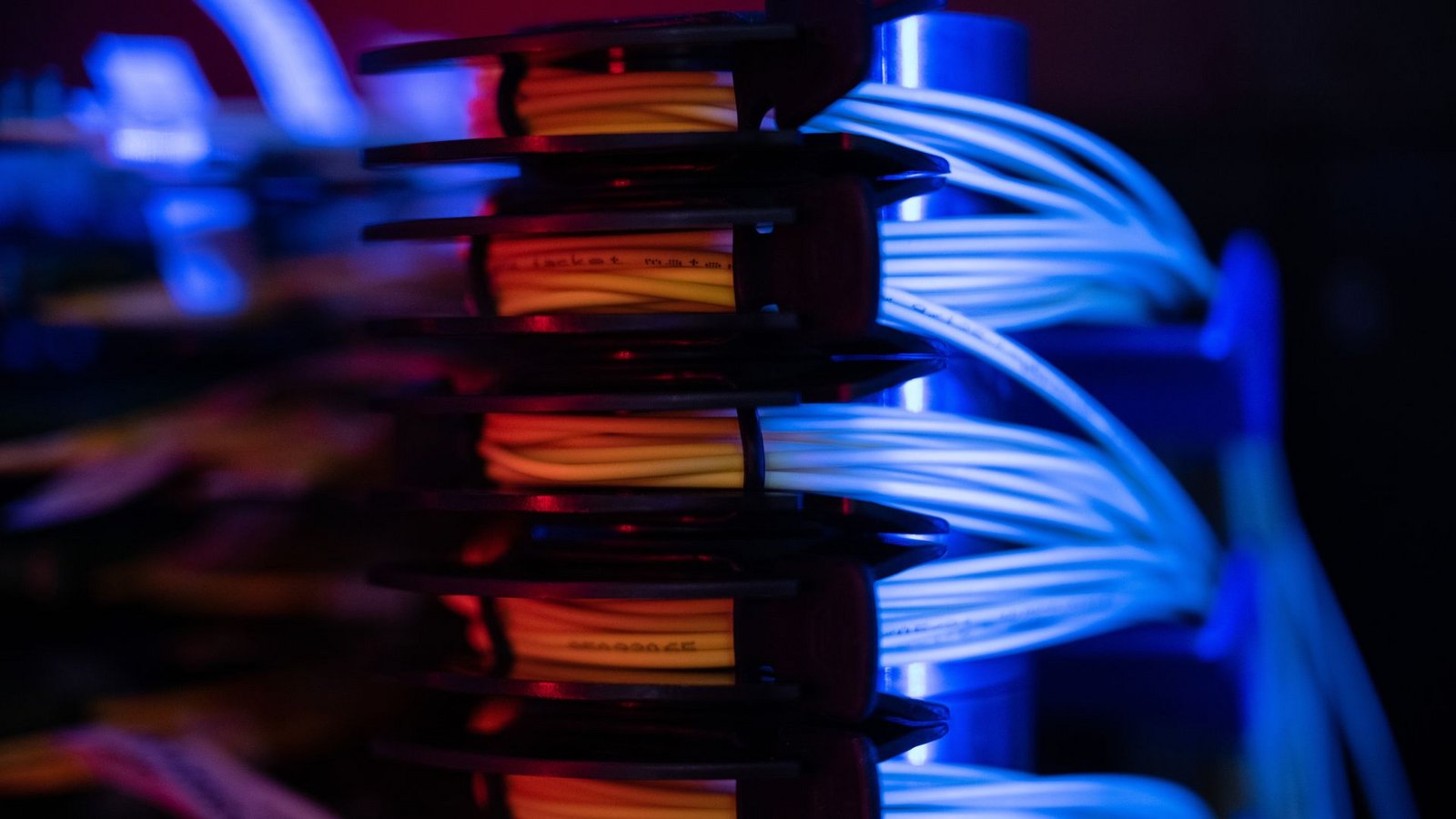 Aus Sicht von Bitkom-Präsident Ralf Wintergerst muss sich Deutschland aus einseitigen Abhängigkeiten lösen, auch bei digitaler Infrastruktur. (Symbolbild).Foto: Sebastian Gollnow/dpa Aus Sicht von Bitkom-Präsident Ralf Wintergerst muss sich Deutschland aus einseitigen Abhängigkeiten lösen, auch bei digitaler Infrastruktur. (Symbolbild).Foto: Sebastian Gollnow/dpa