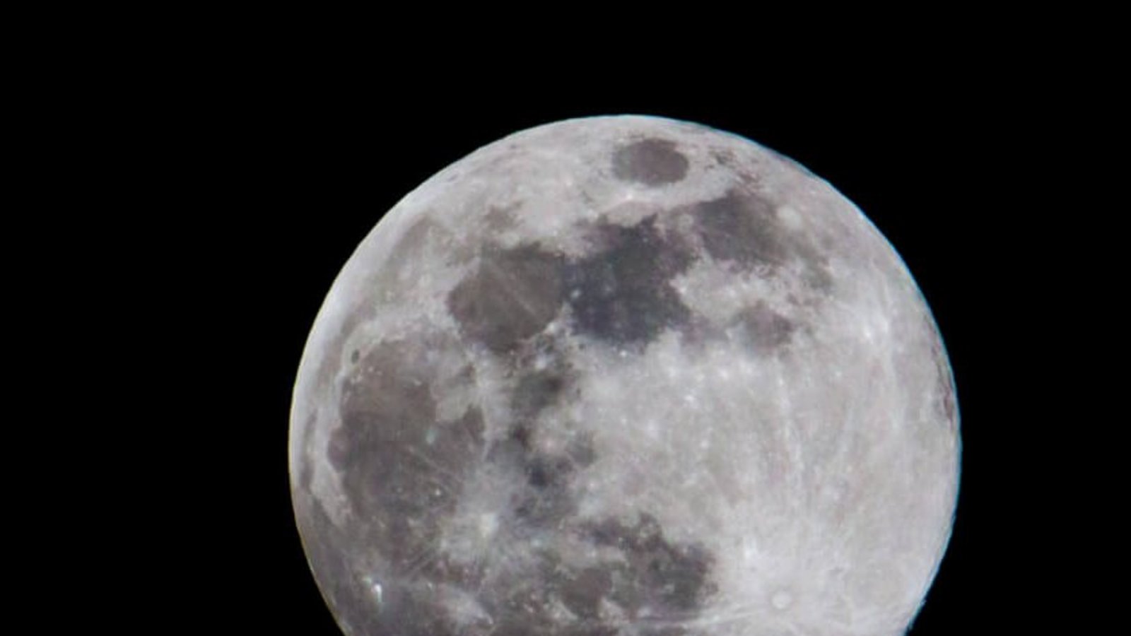 In diesem Artikel erfahren Sie, wie oft im Monat und im Jahr Vollmond ist. Alles Wichtige zur Häufigkeit im Überblick.Foto: Aurelien KEMPF piksl.fr / Shutterstock.com