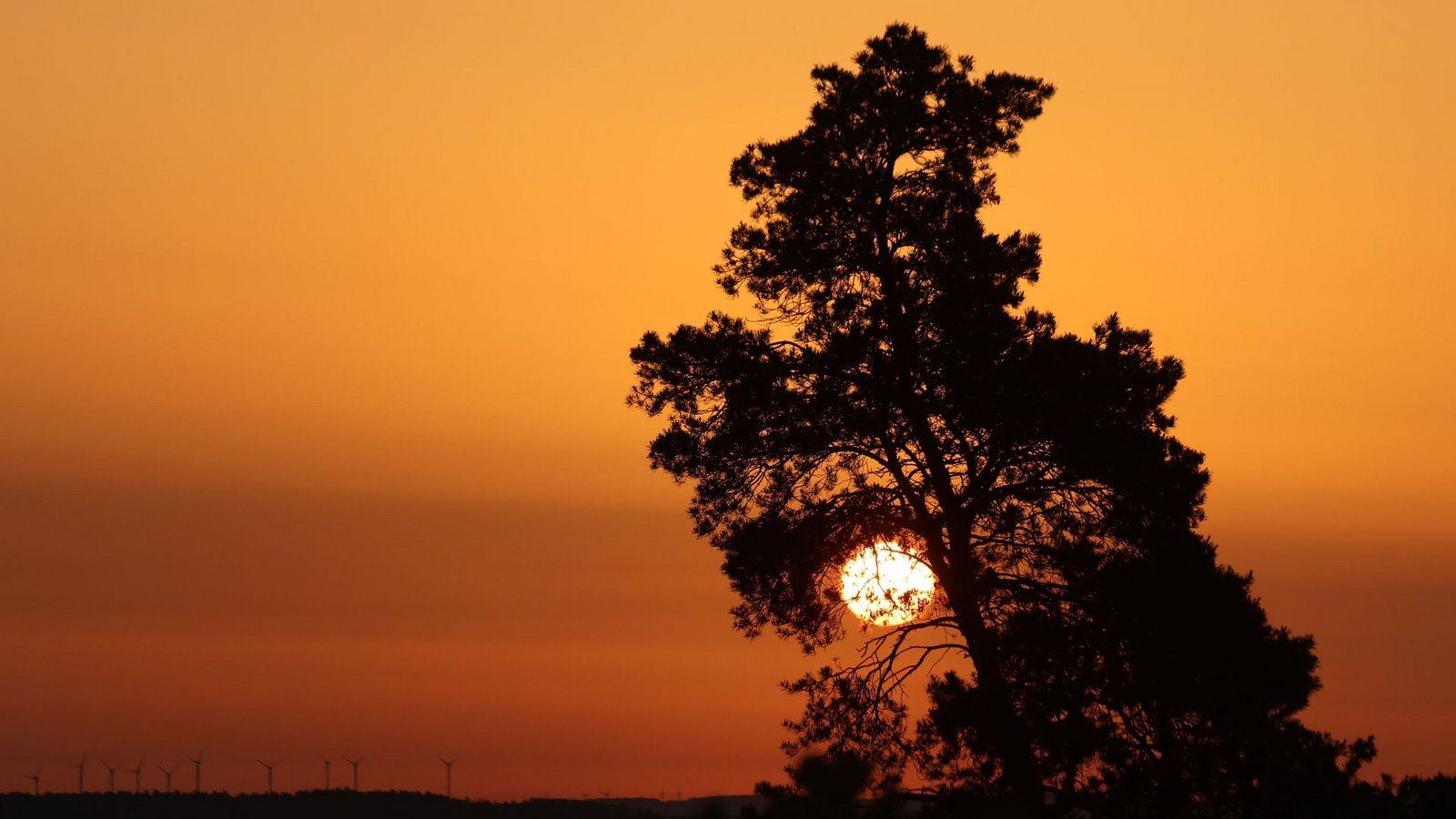 In Baden-Württemberg drohen Tropennächte (Symbolbild).Foto: Matthias Bein/dpa In Baden-Württemberg drohen Tropennächte (Symbolbild).Foto: Matthias Bein/dpa
