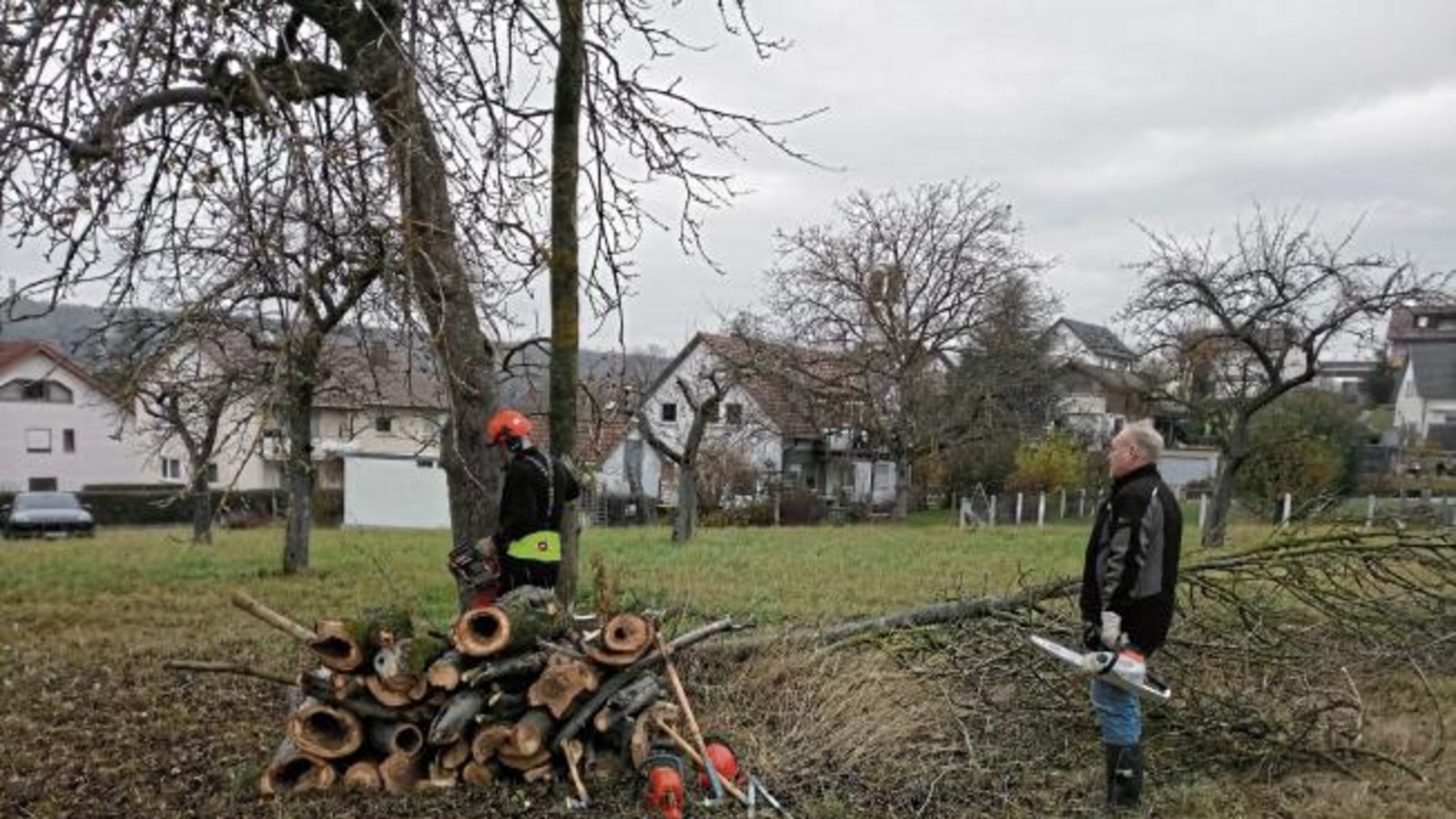 Baumfällen war beim Obst- und Gartenbauverein Kleinglattbach angesagt. Vor dem Anlegen des neuen OGV-Gartens war zunächst das Fällen einiger abgestorbener Bäume aus Sicherheitsgründen notwendig. Als Nächstes werden die Wurzeln entfernt und anschließend neue Obstbäume gepflanzt. Der OGV-Garten soll künftig für Lehrveranstaltungen aber auch als grünes Klassenzimmer dienen. Hier kann auch die Partnerschaft mit der nahe gelegenen Bartenbergschule erweitert werden. Foto: p Baumfällen war beim Obst- und Gartenbauverein Kleinglattbach angesagt. Vor dem Anlegen des neuen OGV-Gartens war zunächst das Fällen einiger abgestorbener Bäume aus Sicherheitsgründen notwendig. Als Nächstes werden die Wurzeln entfernt und anschließend neue Obstbäume gepflanzt. Der OGV-Garten soll künftig für Lehrveranstaltungen aber auch als grünes Klassenzimmer dienen. Hier kann auch die Partnerschaft mit der nahe gelegenen Bartenbergschule erweitert werden. Foto: p