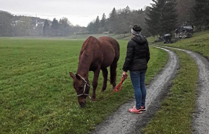 Gassigehen mit dem Vierbeiner am Morgen – mal anders als gewohnt.  Foto: Rücker
