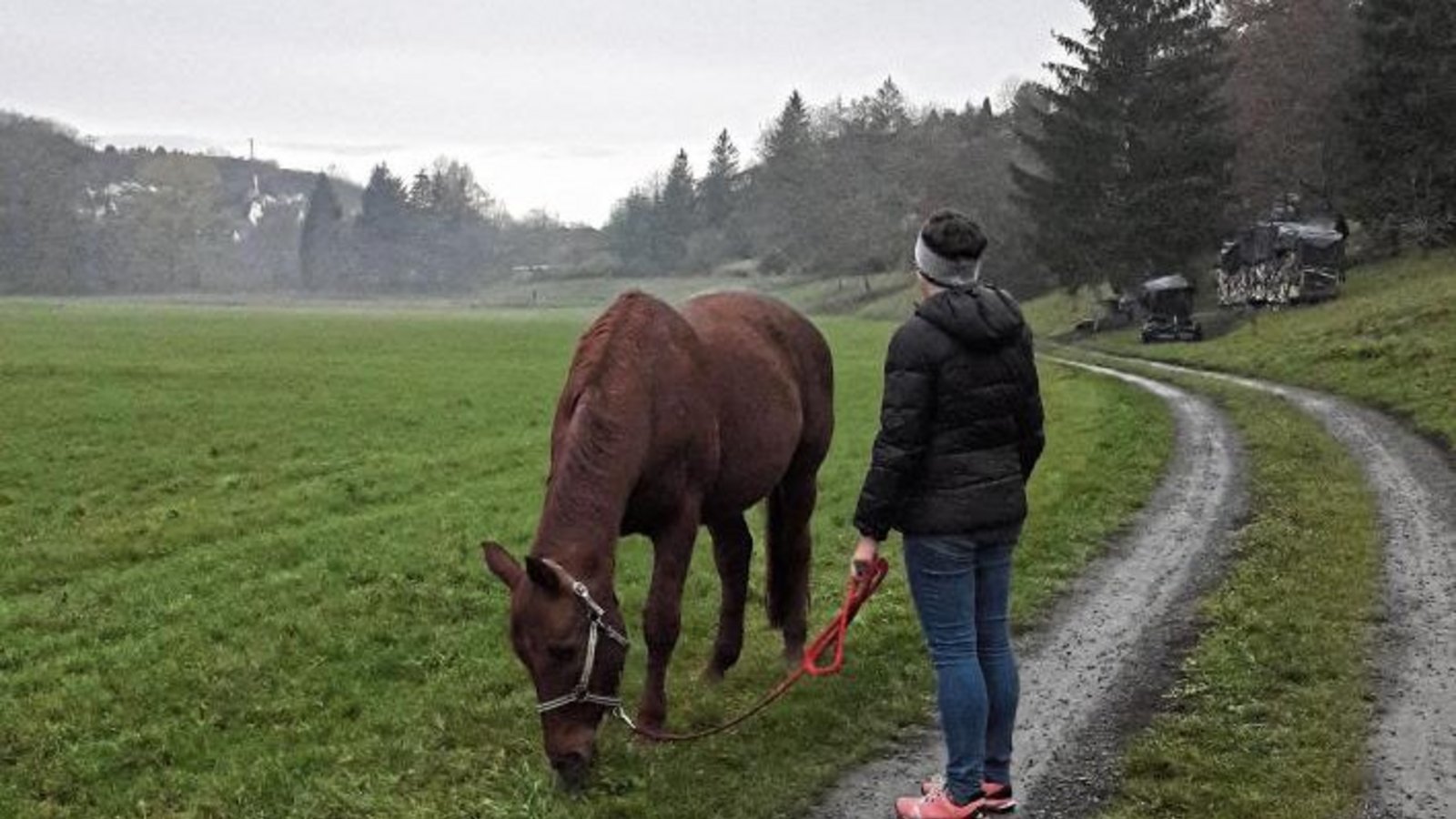 Gassigehen mit dem Vierbeiner am Morgen – mal anders als gewohnt.  Foto: Rücker