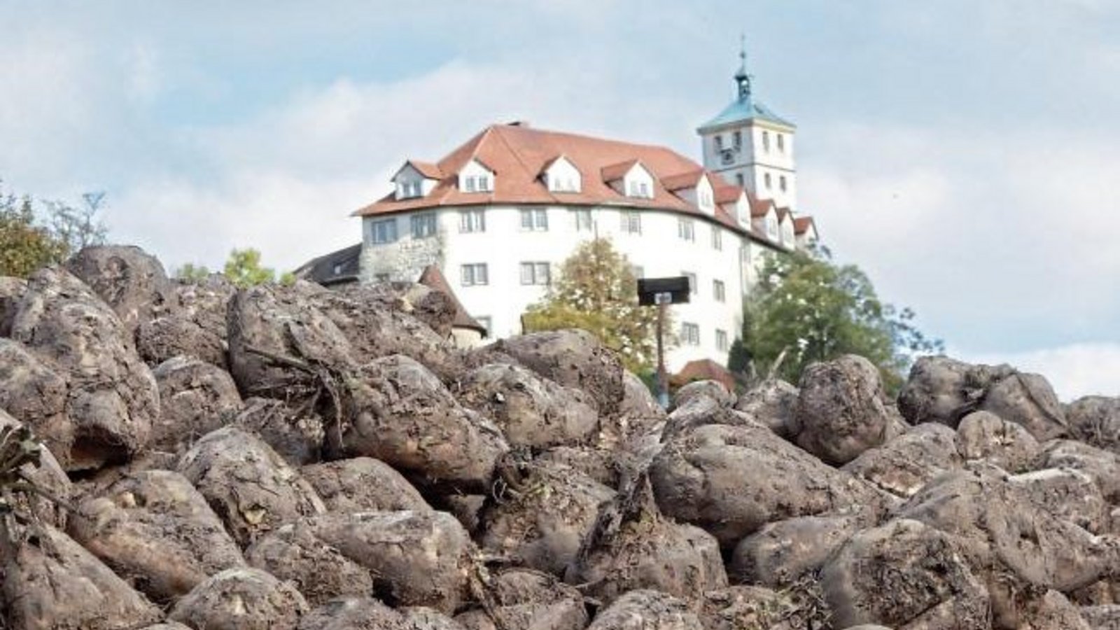 Der Vaihinger Kaltenstein wurde auf Rübenberge gesetzt. Foto: Arning