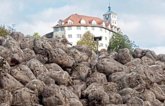 Der Vaihinger Kaltenstein wurde auf Rübenberge gesetzt. Foto: Arning