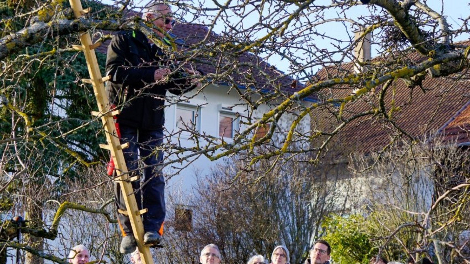 Winterschnittkurs in Nussdorf: Ein Baumwart des OGV zeigt, wie es geht. Foto: p Winterschnittkurs in Nussdorf: Ein Baumwart des OGV zeigt, wie es geht. Foto: p