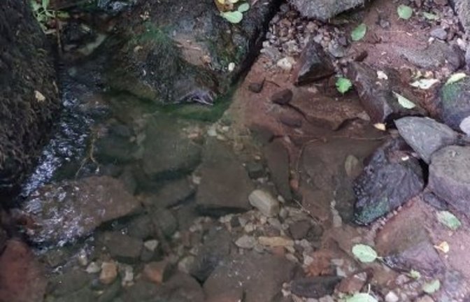 Wenig Wasser in den Bächen auch im Enzkreis. Foto: LE