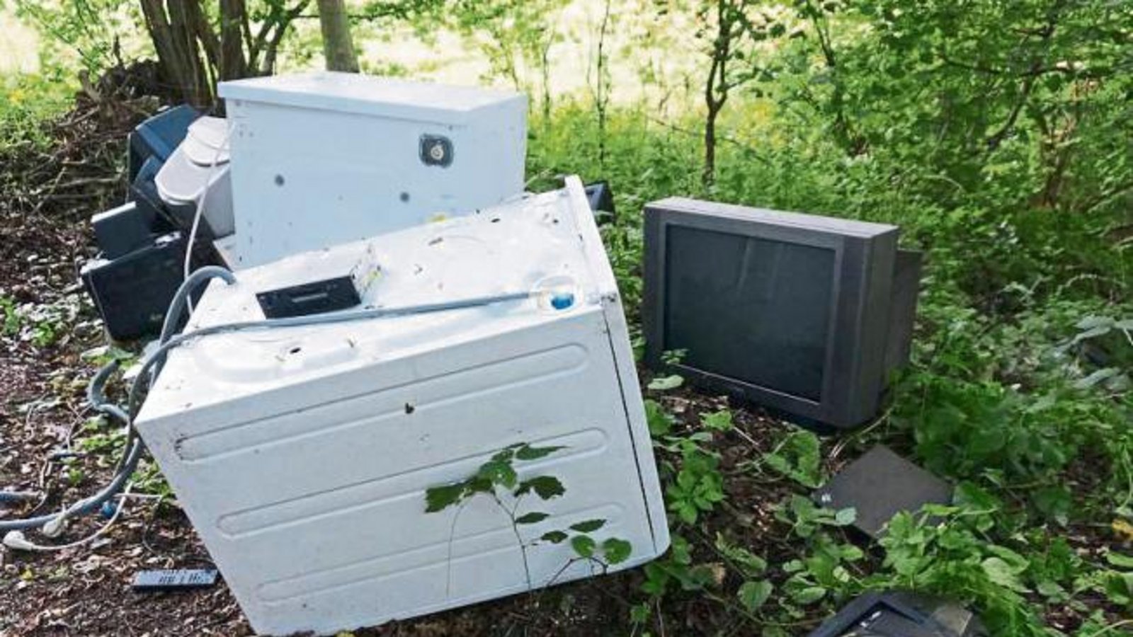 Elektroschrott kostenlos abzuholen zwischen Horrheim und Gündelbach – rund 500 Meter von der Mülldeponie entfernt. Foto: Thalhäuser